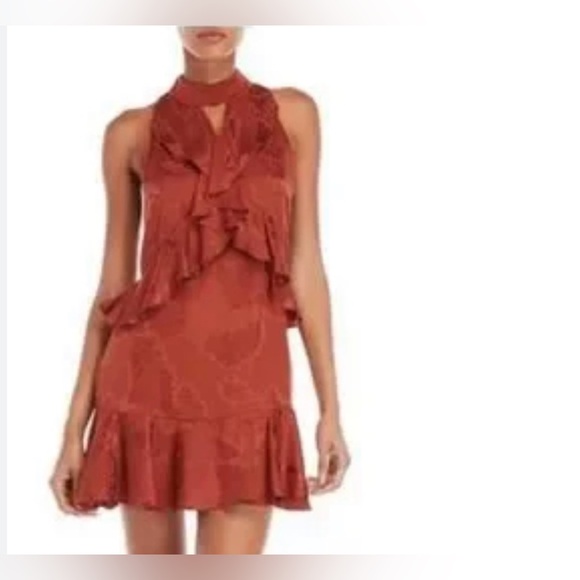 AFRM Rust Ruffle Silk Mini Dress - Picture 10 of 10